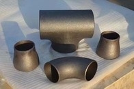SCH60 SCH100 বিজোড় পাইপ কনুই 45 ডিগ্রি 325x8mm A403 WP304